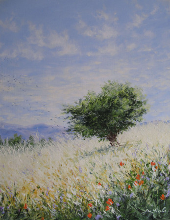 Galerie